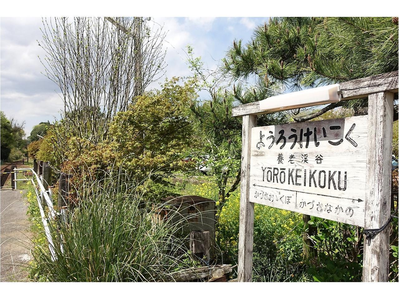 Goi Grand Hotel Ichihara Exteriör bild